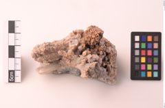 Foto von Apatit (NHMW-MIN-Am244)